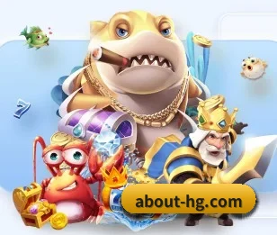 关于我们 - 体育资讯内容服务