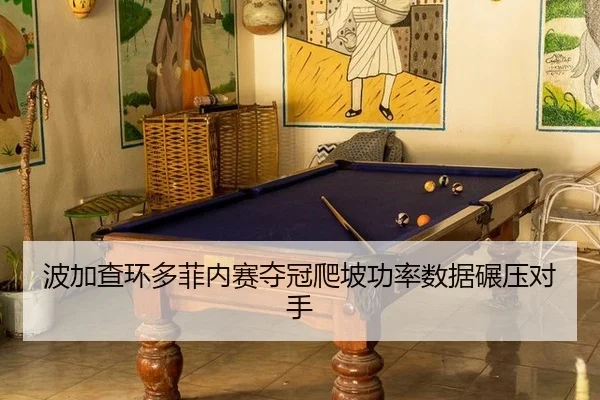 bo-jia-cha-huan-duo-fei-nei-sai-duo-guan-pa-po-gong-lv-shu-ju-nian-ya-dui-shou-2-389.jpg