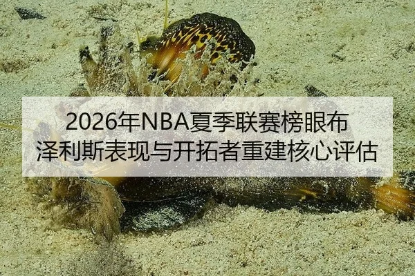 nian-xia-ji-lian-sai-bang-yan-bu-ze-li-si-biao-xian-yu-kai-tuo-zhe-chong-jian-he-xin-ping-gu-3-962.jpg