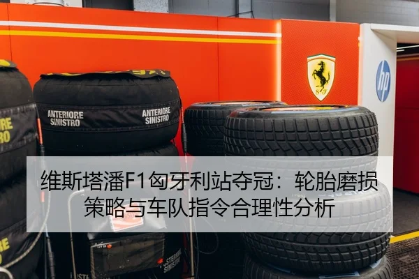 维斯塔潘F1匈牙利站夺冠：轮胎磨损策略与车队指令合理性分析